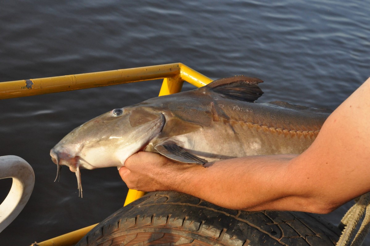 23 a En is kitettem magamert Egyeni