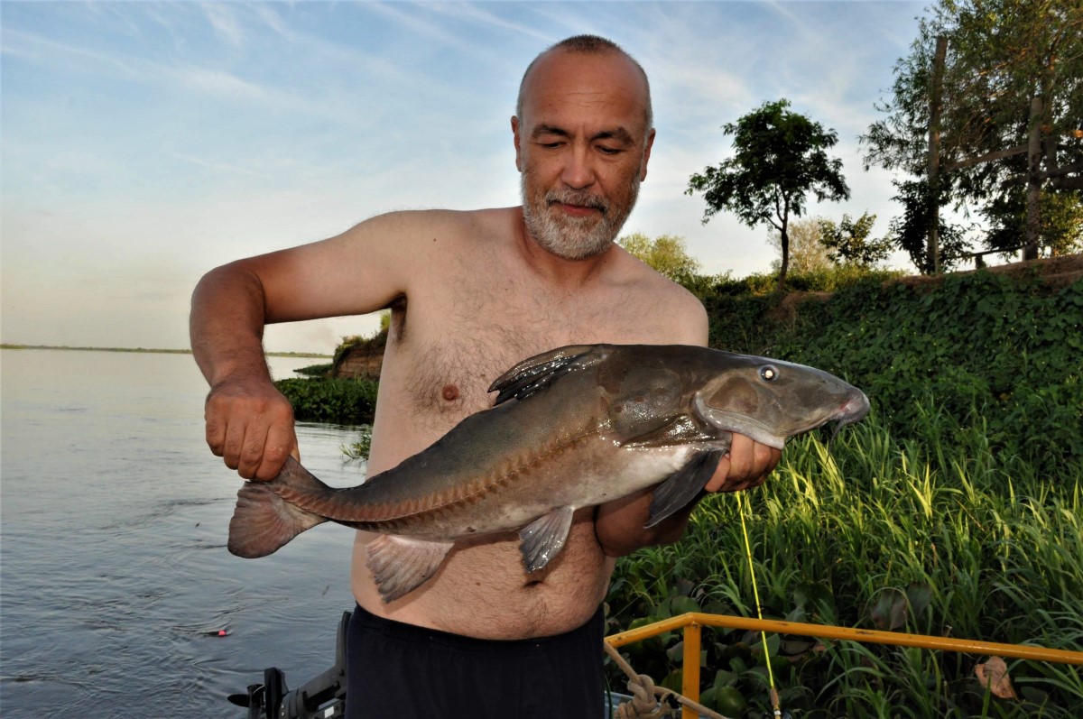 23 kep. Etvagyuknal voltak Egyeni