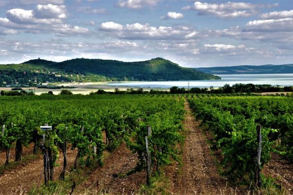 Tihany Sajkodi-öböl