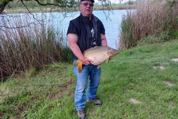 Toth Zoltan potykája