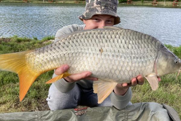 Tizenkettő közül a legnagyobb