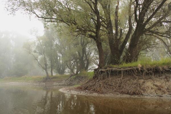 Kapaszkodunk, reménykedünk