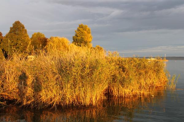 Októberi verőfény